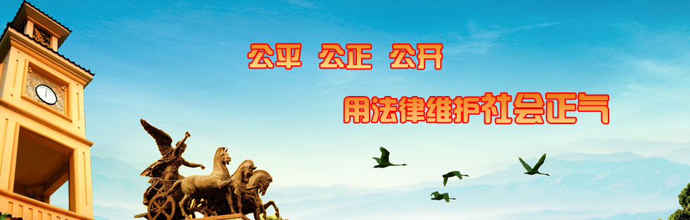 玉环专业律师|玉环合同律师|玉环婚姻律师|玉环侵权律师|握法律师