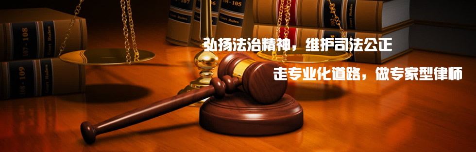 绍兴专业公司律师